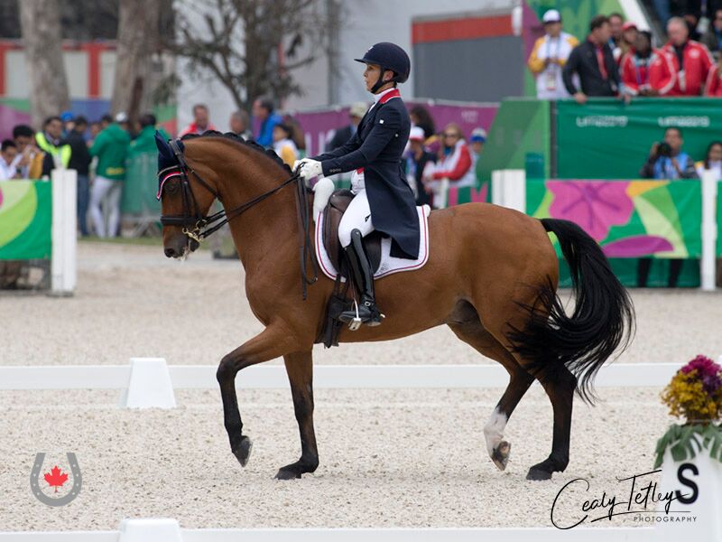 Canadian Dressage Team Takes Gold at Lima 2019 Pan Am Games and Punches Ticket to Tokyo